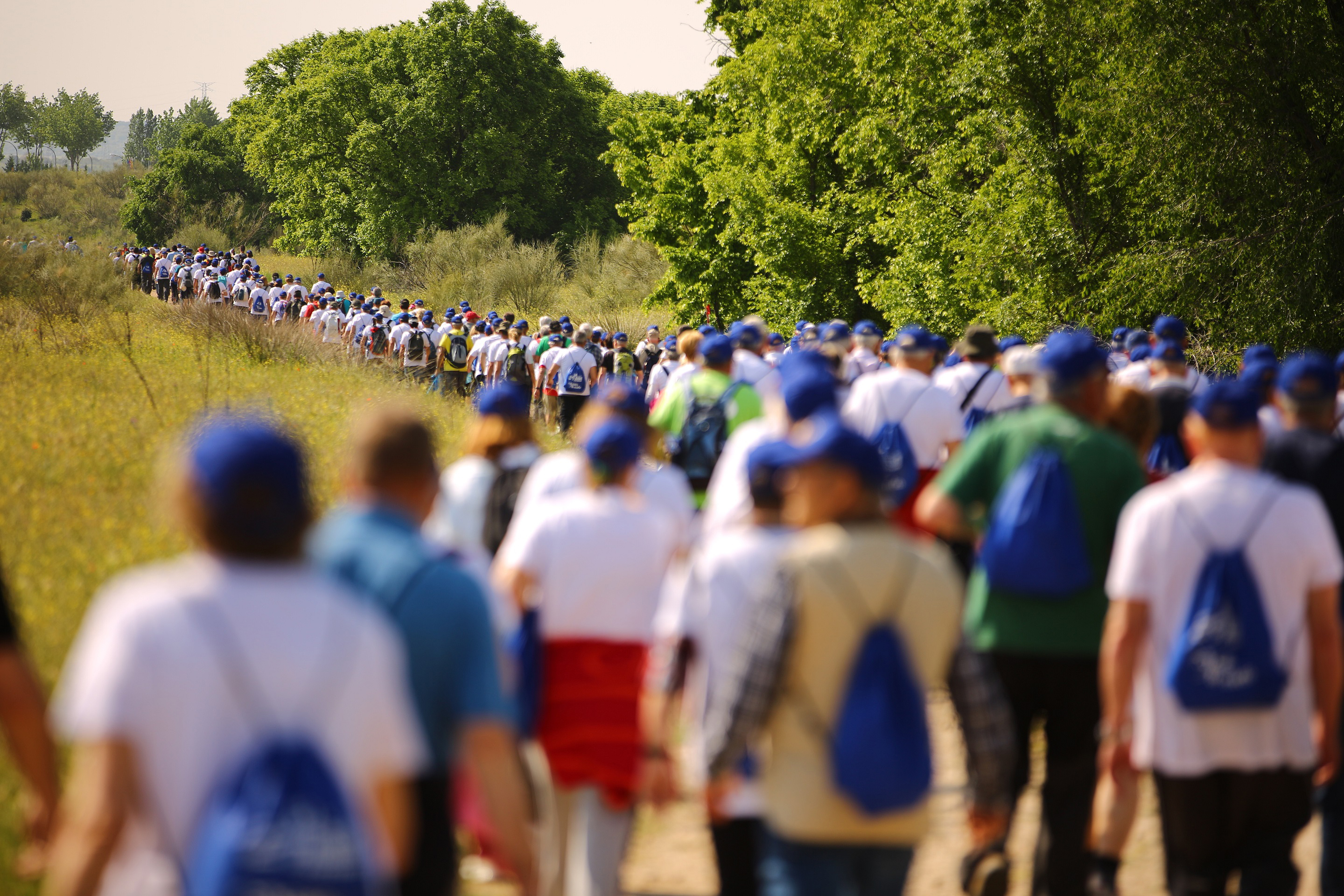 MARCHA DE MAYORES 2018 3.
