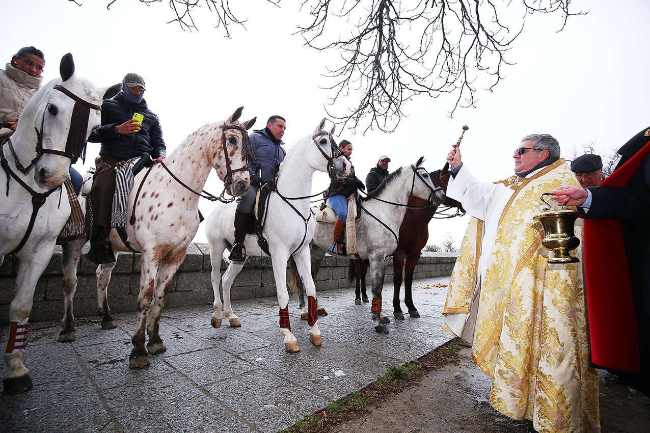 Bendición de animales