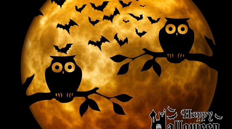 halloween-ge8daedec7_1920