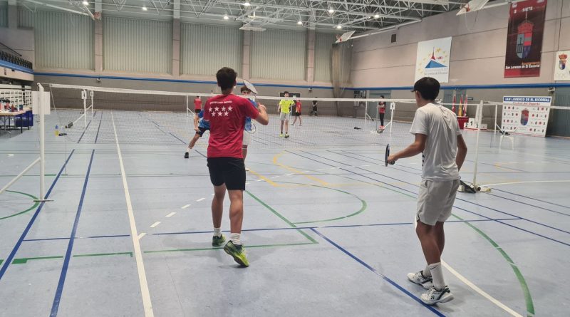 Liga Autonómica de Bádminton