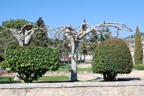 jardin collado mediano