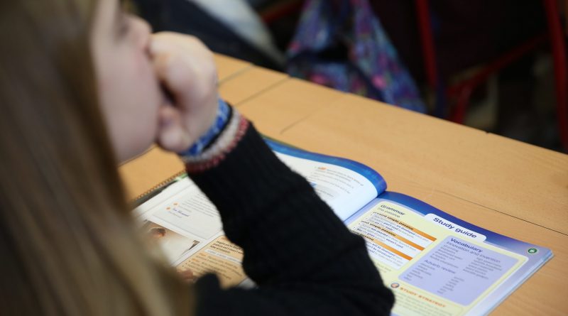 NIÑA ESTUDIA COLEGIO LAS ROZAS
