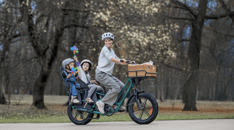 fat bike fiido familia