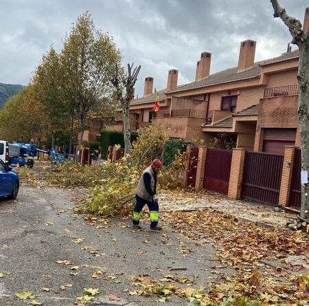 La-gestion-de-la-poda-en-Moralzarzal-se-convierte-en-acolchado-para-nuestras-zonas-verdes-2025