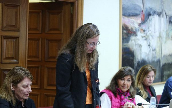 pleno-guadarrama-02-e1712214626501 (1)