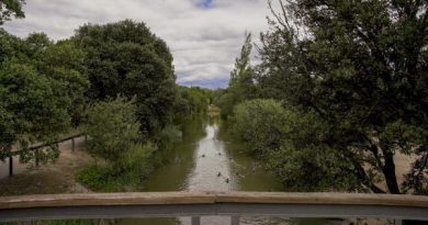 ARCO VERDE LAS ROZAS
