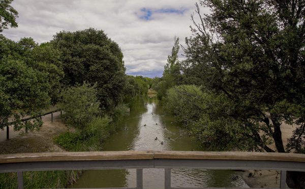 ARCO VERDE LAS ROZAS