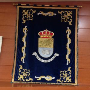 salon-plenos-Moralzarzal-300x300