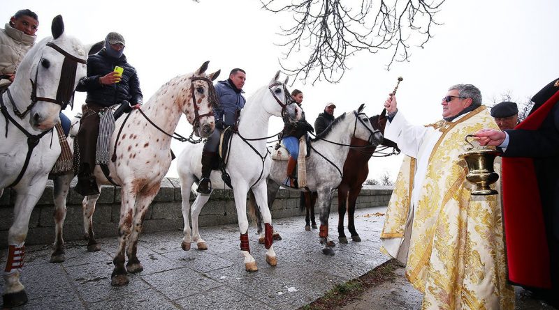 Bendición de animales