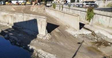 WhatsApp Image 2026-01-12 at 13.27.37 (1)