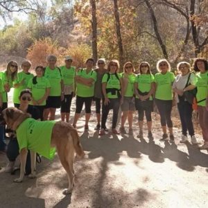 La-Junta-Local-de-la-AECC-de-Moralzarzal-lanza-Rutas-Saludables-contra-el-Cancer-1-300x300