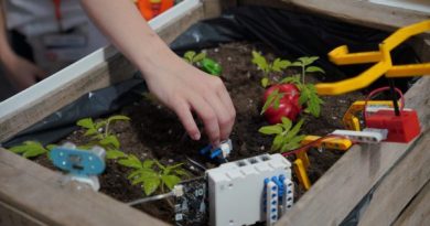 DESAFÍO LAS ROZAS 1