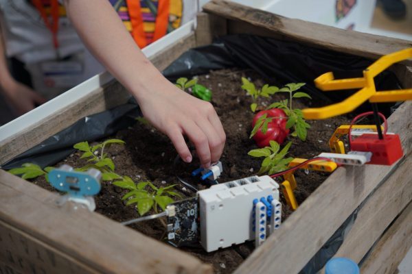 DESAFÍO LAS ROZAS 1