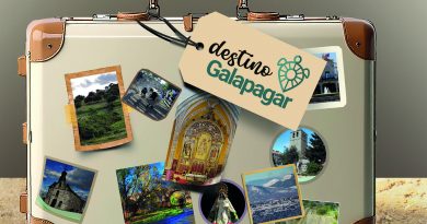 AYGG-417 GuiaTuristica Galapagar.indd