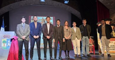 valdemorillo toros 03