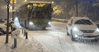 Nevada en San Lorenzo de El Escorial