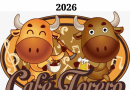Cafe torero 2026