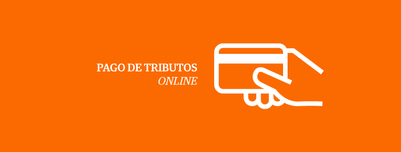 imagen-pago-tributos