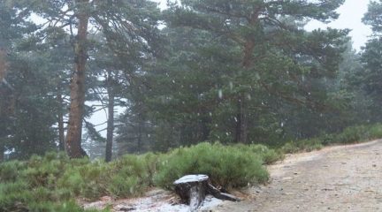 Tobogán térmico en la Sierra: hace unos días, rozando los 40ºC; hoy, nevando en el Puerto de Navacerrada