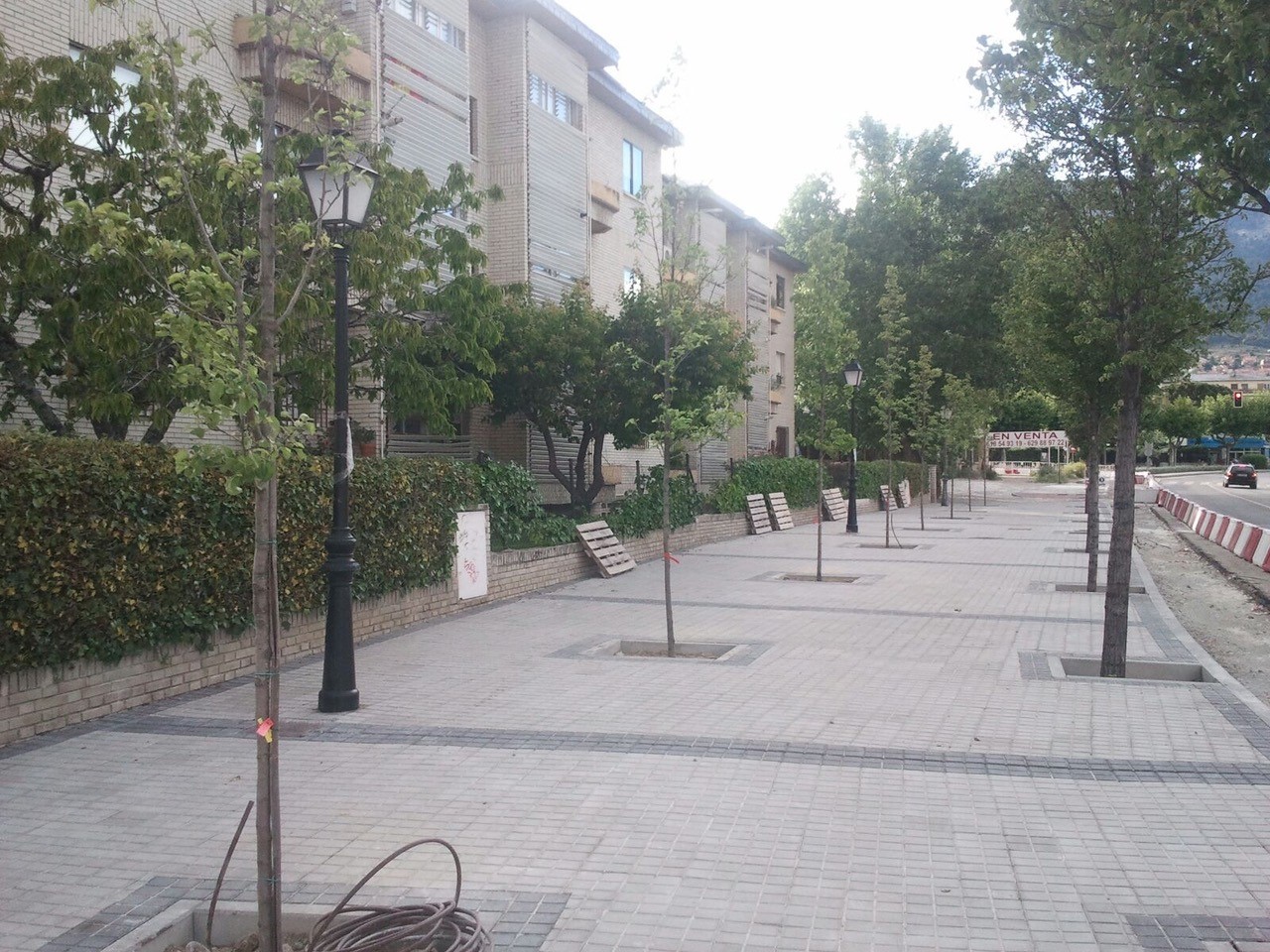 Nuevos árboles en la avenida de Felipe II y la calle Padre Villacastín de  El Escorial