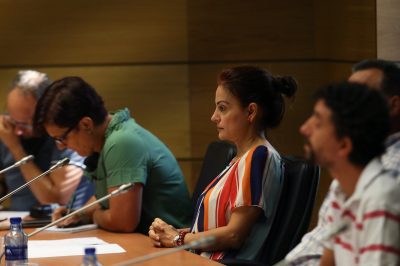 pleno septiembre 2018 3