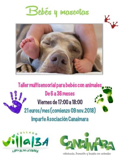 Taller “Bebés y mascotas”, dirigido a familias con niños de 0 a 36 meses