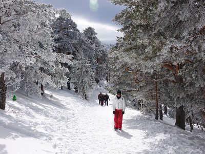 Puerto de navacerrada nevado 2016