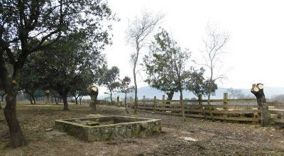 Mejora de las instalaciones ganaderas en la Dehesa Nueva