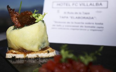 Tapa participante del concurso