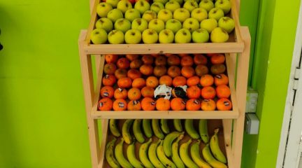 El gimnasio municipal de El Boalo instala un puesto de fruta para fomentar la alimentación saludable