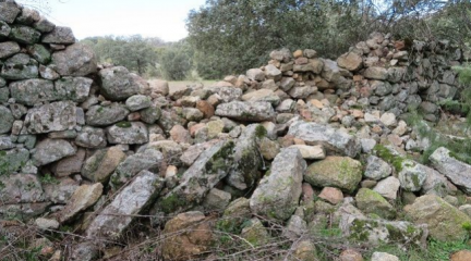 Varios tramos de la Cerca Histórica de Felipe II entran en la «Lista Roja del Patrimonio» por su estado de ruina