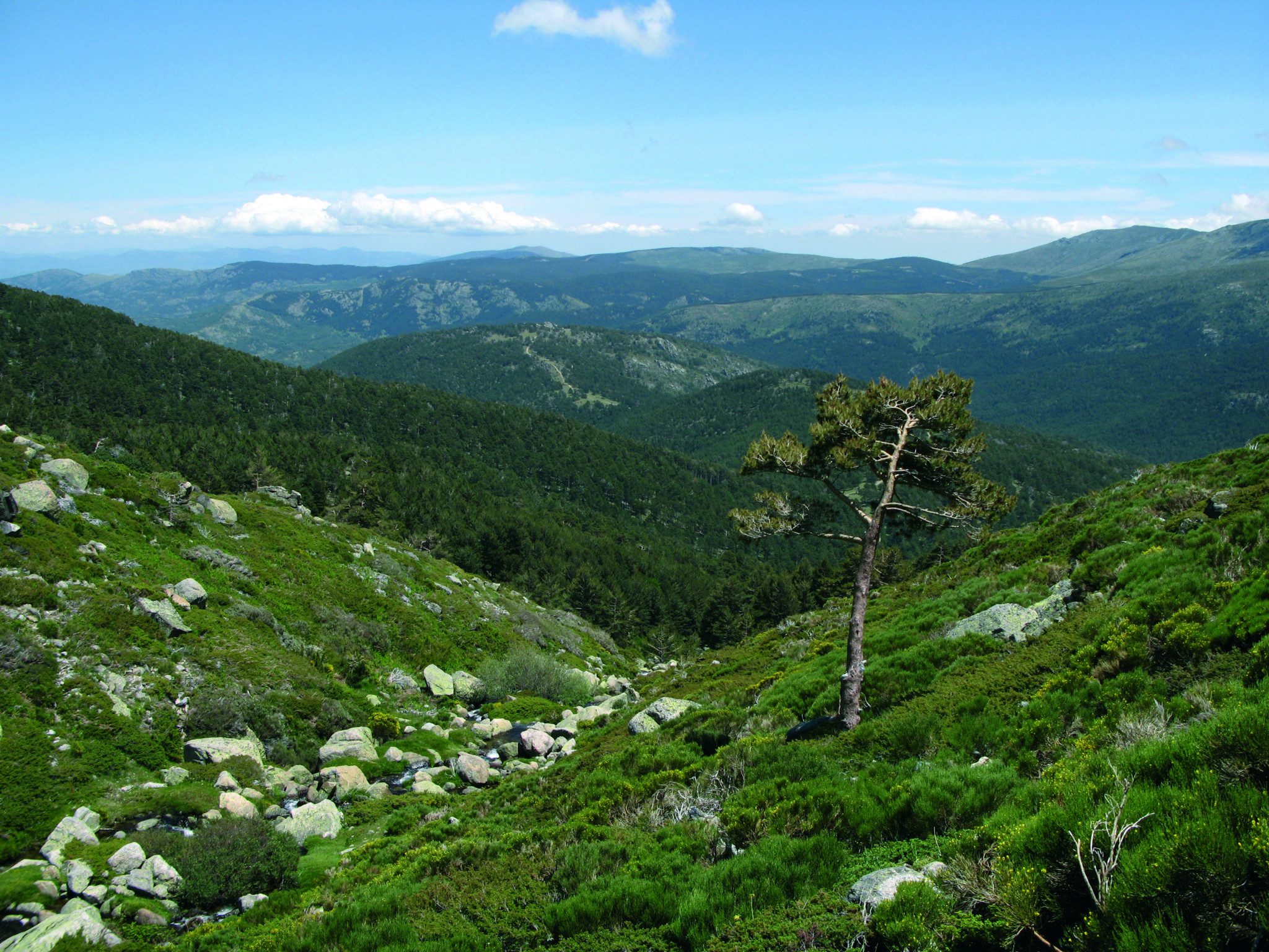 Vista del Parque Nacional de la Sierra de Guadarrama