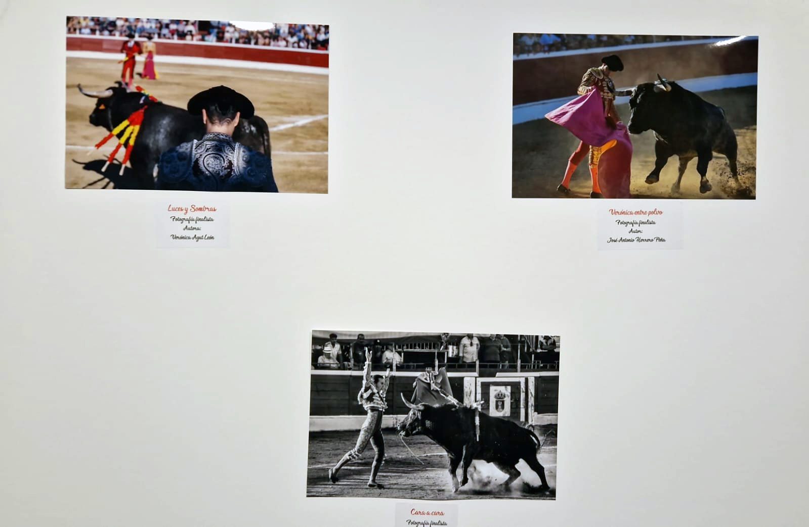 Imágenes que forman parte de la exposición de fotografía taurina
