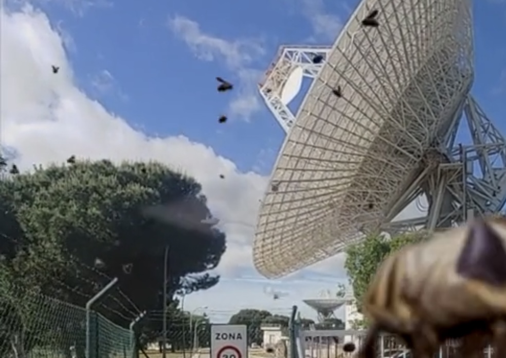 Captura del vídeo sobre el rescate de las abejas en una de las antenas del complejo de Robledo de Chavela