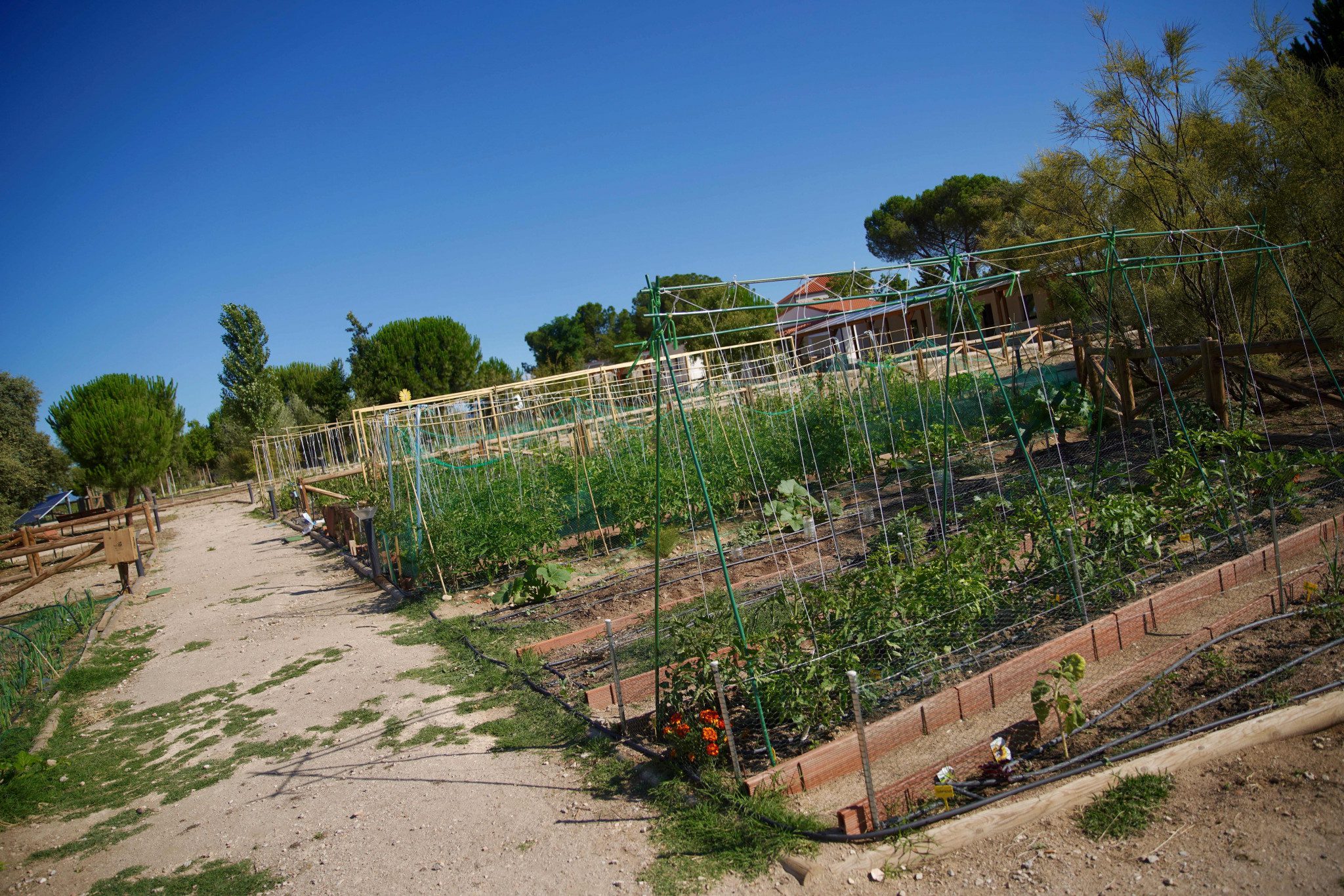 Centro Medioambiental de La Talaverona