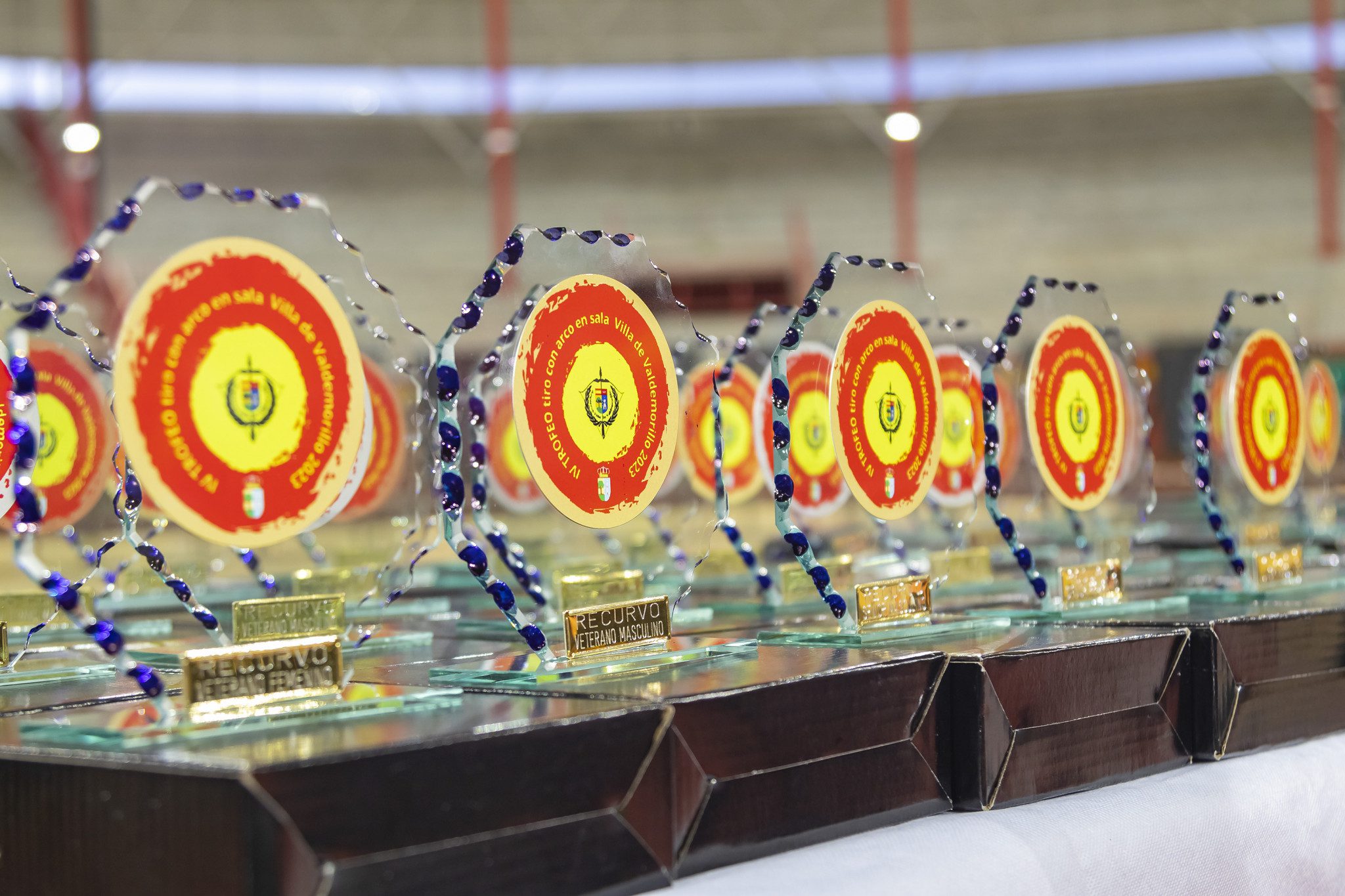 Trofeo Arqueros de Valdemorillo