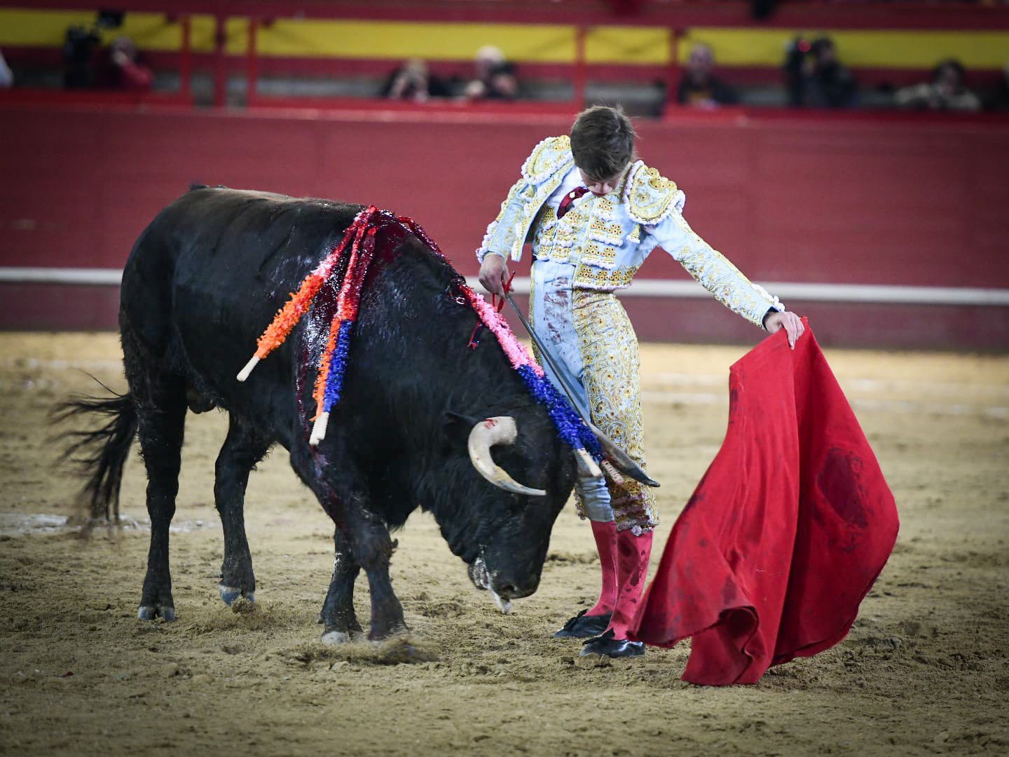 Javier Zulueta