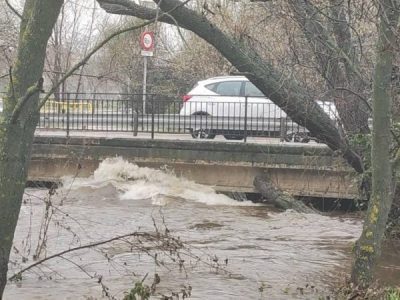 Río Guadarrama, en Collado Villalba
