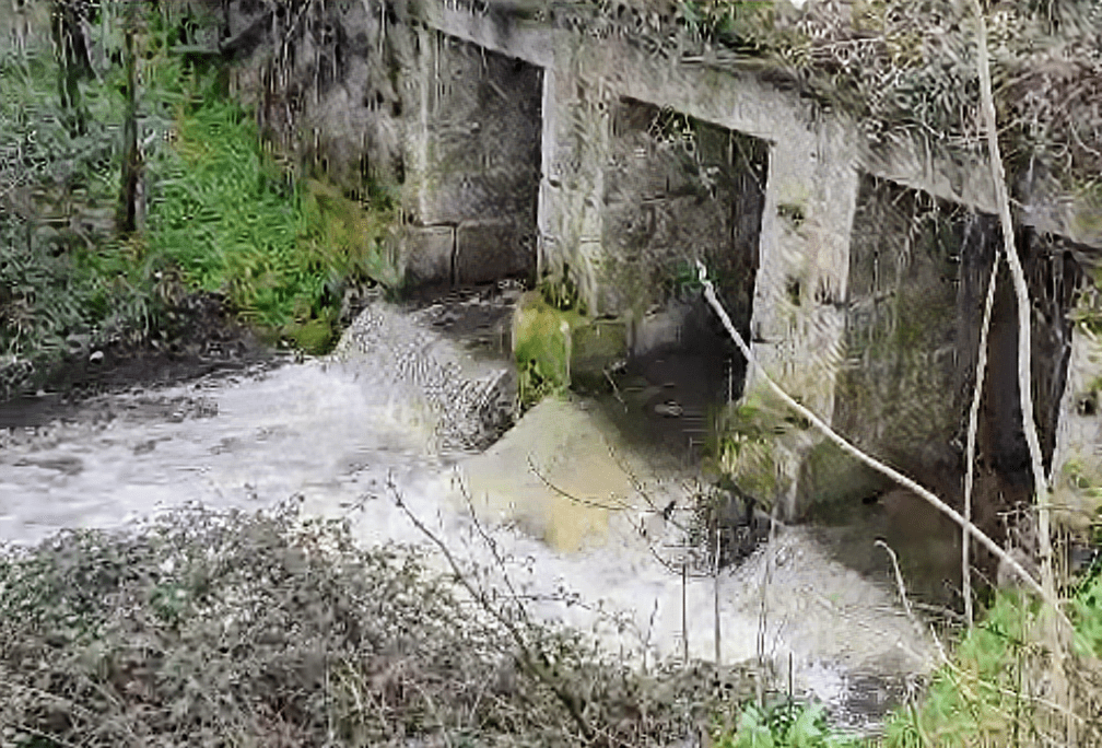 Río Aulencia a su paso por El Escorial