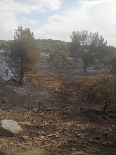Camino Bajo de Las Marías, en Torrelodones.