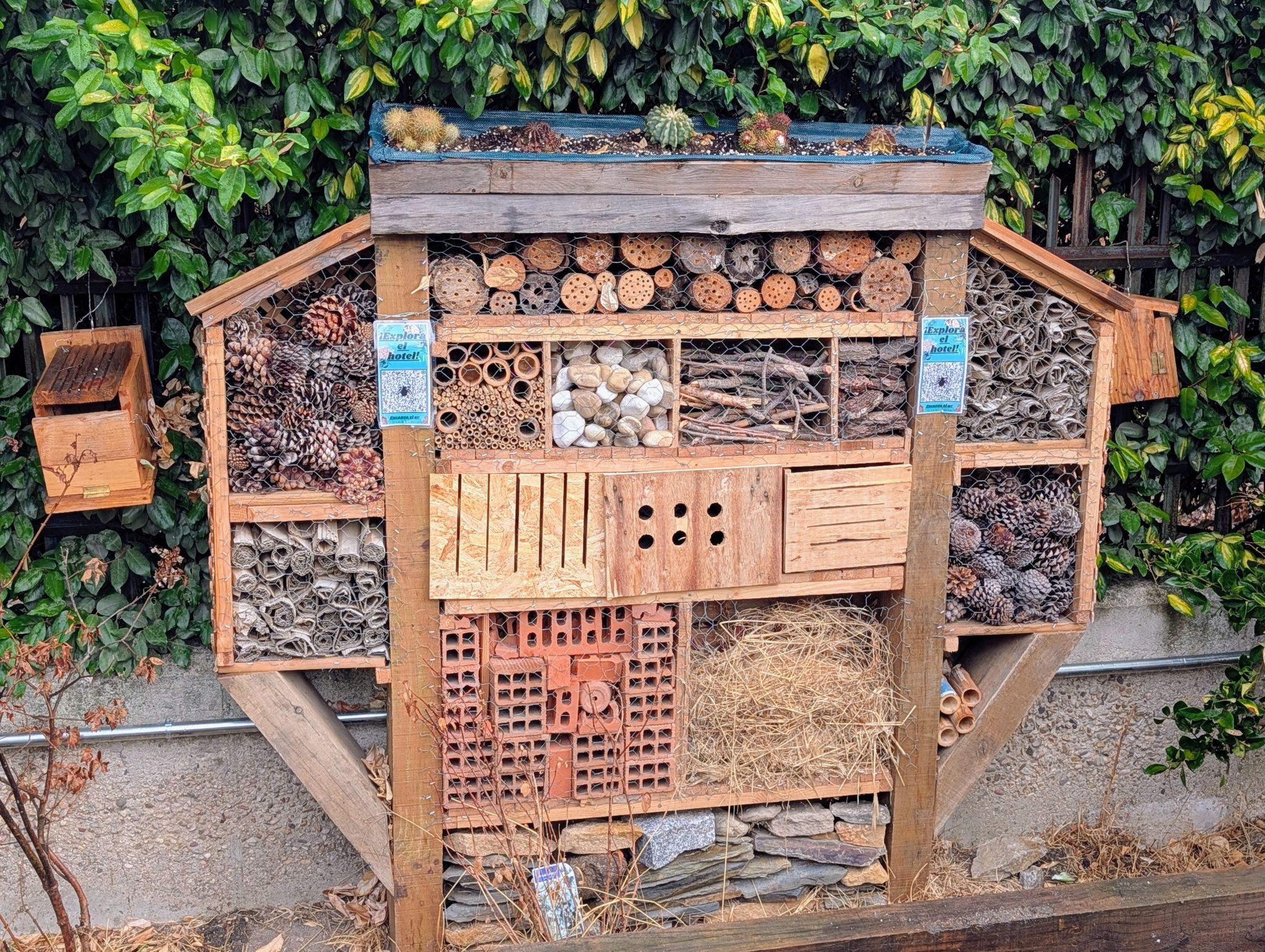 Hotel de insectos