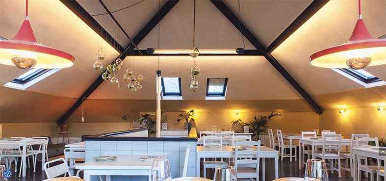 Traveler Moralzarzal