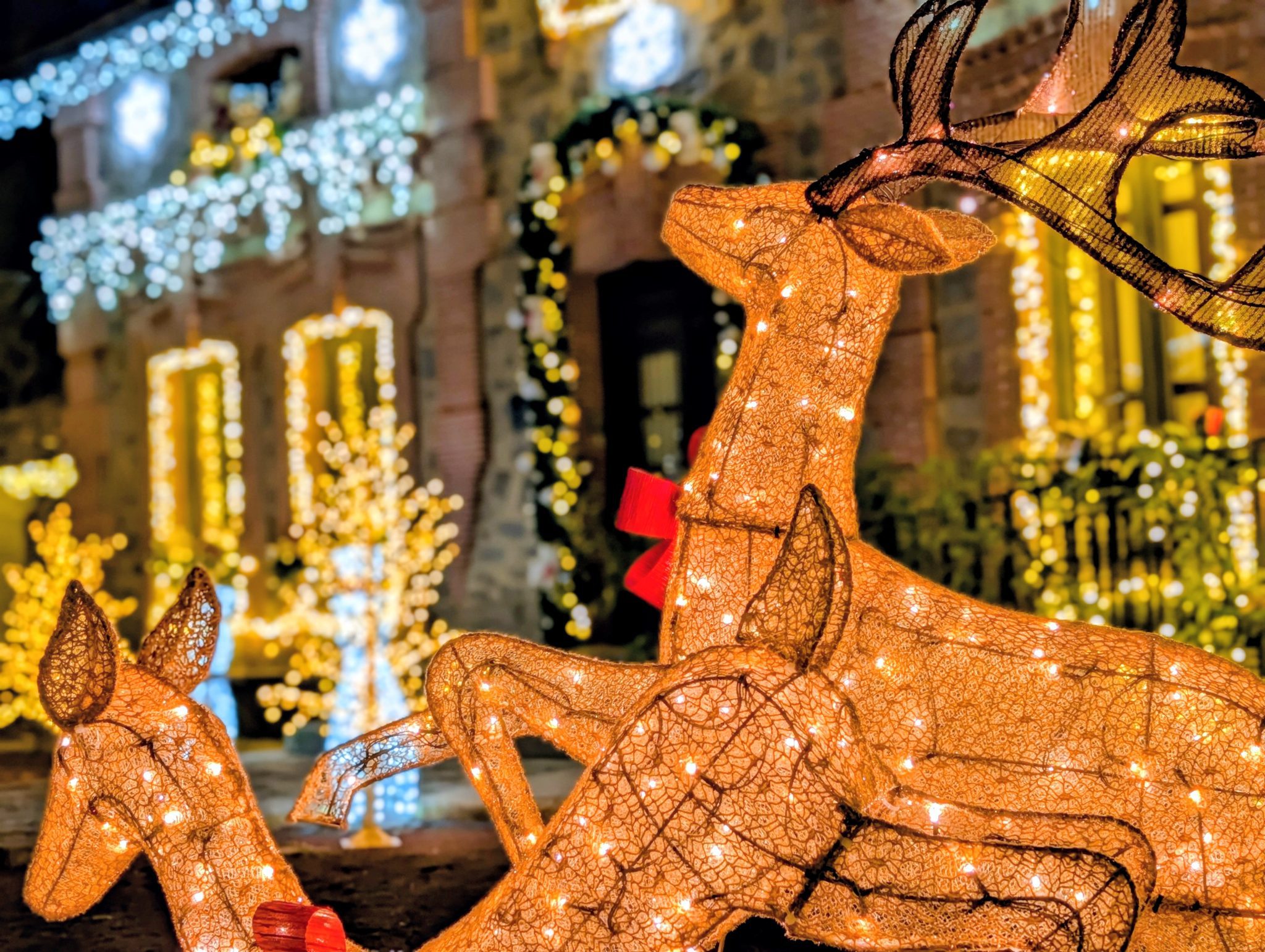 Escultura de renos iluminados con luces cálidas, parte de la decoración navideña exterior.
