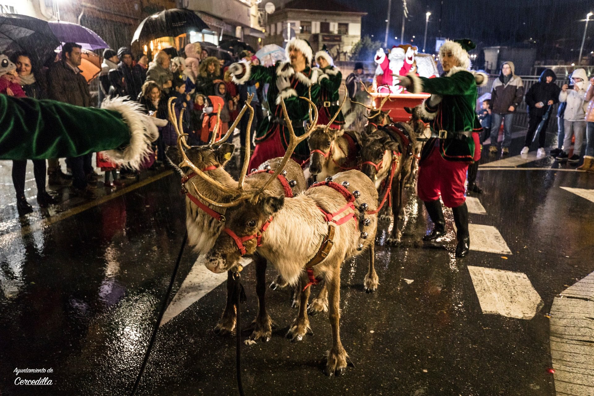 Renos en la cabalgata de Papá Noel en Cercedilla