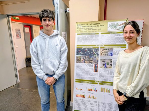 David y Julia IEs Guadarrama