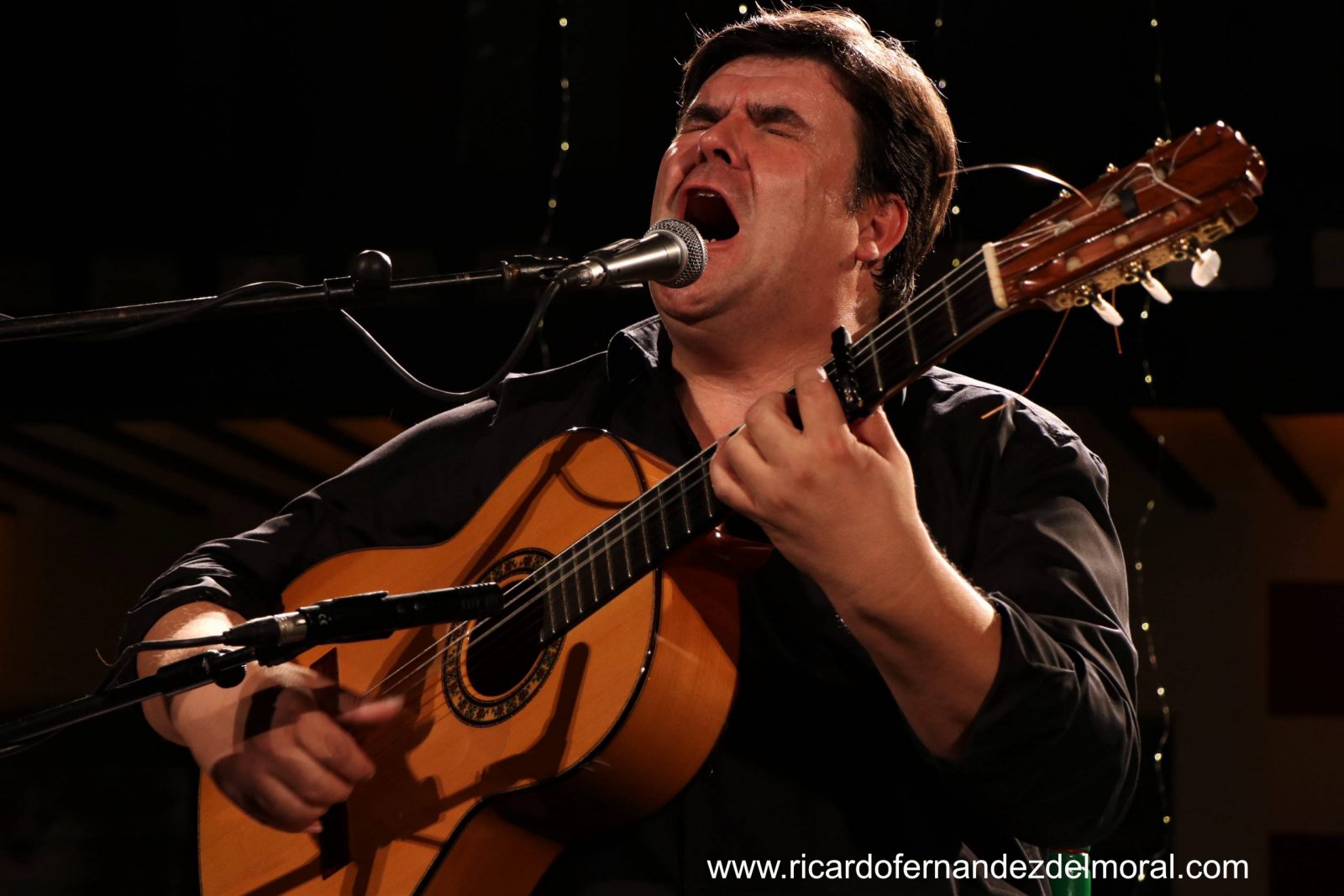 Ricardo Fernández del Moral