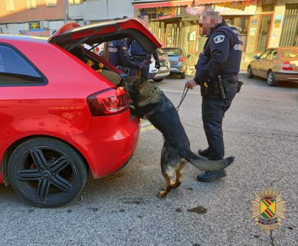 Agente de la Policía Local supervisando a un perro de la Unidad Canina durante la inspección de un vehículo.
