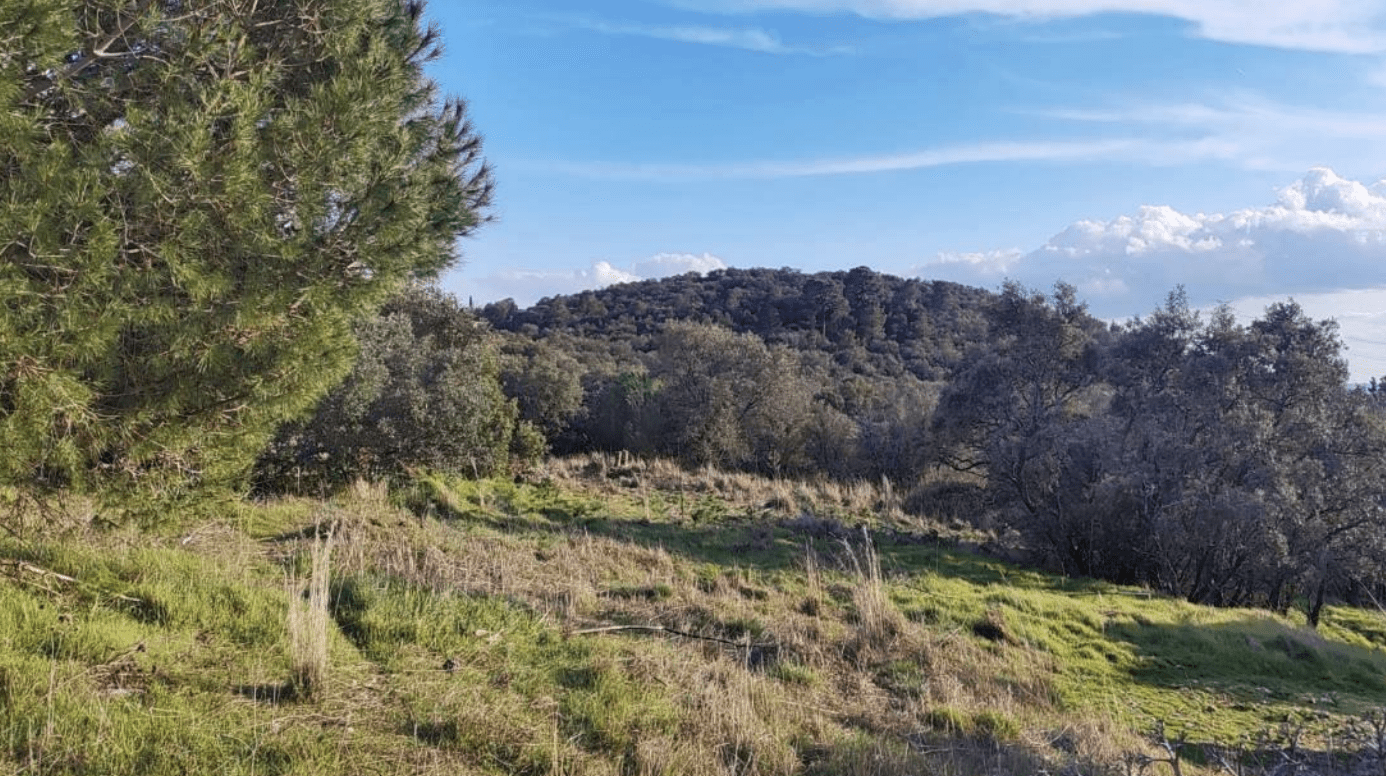 Cerro de La Serranilla