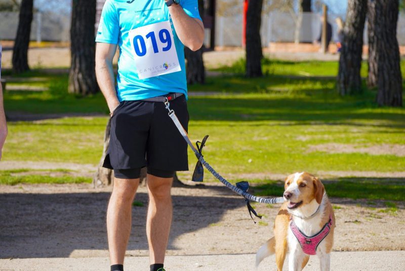 Un corredor con el dorsal 019 sujeta la correa de un perro blanco y marrón durante la jornada de CaniCross en la Dehesa de Navalcarbón.