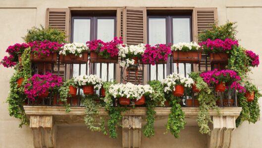 Un balcón con barandilla metálica decorado con numerosas macetas repletas de flores de color rosa, blanco y plantas verdes colgantes.